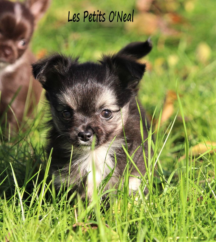 POESY, fille de MARLON
